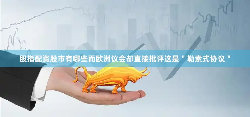 股指配资股市有哪些而欧洲议会却直接批评这是＂勒索式协议＂